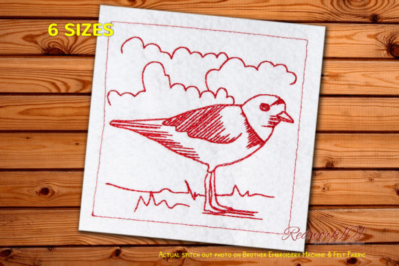 Ringed Plover Machine Embroidery Design Review